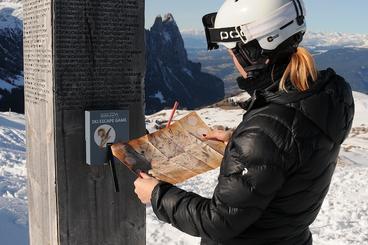 Hexenbesen auf der Seiser Alm 